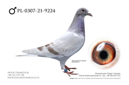 PL-0307-21-9224 - Chateauroux, Ringlose, czy Eurostar x linia olimpijczyka Marcina Bochynka