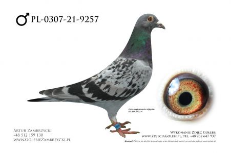 PL-0307-21-9257 - Florian Grundmeier x v/d Wouwer/Geerinckx