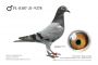 PL-0307-21-9278 - linia olimpijczyka Marcina Bochynka oraz Super Asa 507