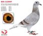 PL-0307-21-9278 - linia olimpijczyka Marcina Bochynka oraz Super Asa 507