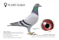 PL-0307-24-8621 - samica