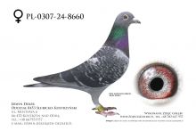 PL-0307-24-8660 - samica