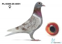 PL-0308-25-4051 - 3 konk 