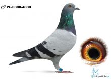 PL-0308-26-4830 - 66 lotnik - W Imię Wolności