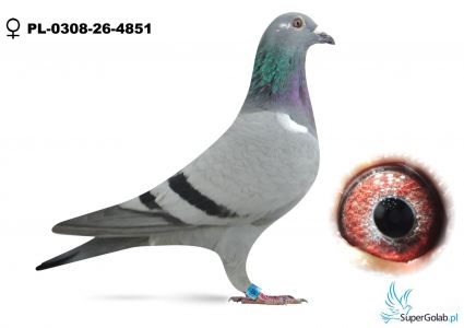 PL-0308-26-4851 - 82 gołab z Ekstra finału , 85 z finału -  W imie Wolnosci 