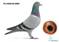 PL-0308-26-4860 -  20 gołab z Ekstra finału , 66 z finału - W Imię Wolnosci 