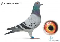 PL-0308-26-4881 - c37 lotnik - W Imie Wolności 