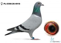 PL-0308-26-4918 - W Imie Wolności 