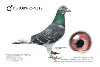 PL-0309-25-9312: Team Kolasa, m in 38m, 41m z FINAŁU