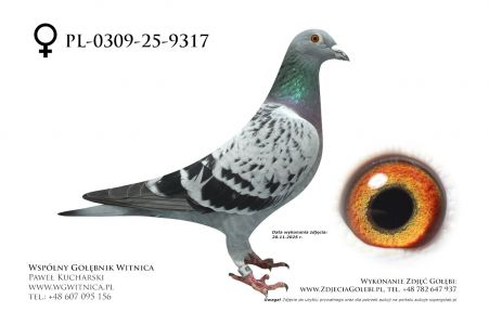 PL-0309-25-9317: Kuba Wojciechowski, 14 Lotnik, m in 39m, 11m z FINAŁU