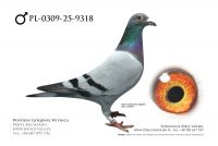PL-0309-25-9318: Kuba Wojciechowski