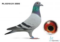 PL-0310-21-3505