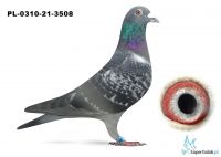 PL-0310-21-3508