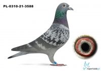 PL-0310-21-3588