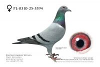 PL-0310-25-5594: JANEK&GORSKI TEAM, 25. Lotnik, m in 50m, 31m z FINAŁU