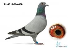 PL-0310-26-4458