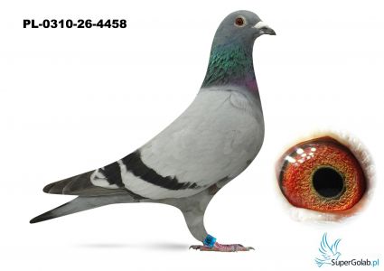 PL-0310-26-4458