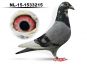 PL-0310-26-4458 + gratis NL-15-1533215