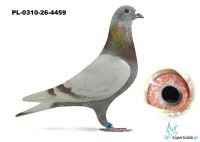 PL-0310-26-4459