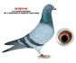 PL-0310-26-4528+ gratis  DV-0824-14-519