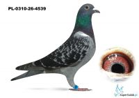 PL-0310-26-4539