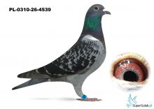 PL-0310-26-4539
