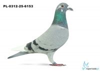 PL-0312-25-6153 25. OKRĘG TARNOBRZEG 