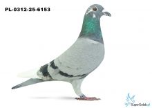 PL-0312-25-6153 25. OKRĘG TARNOBRZEG 