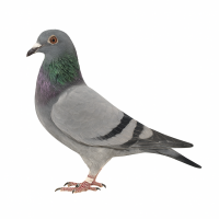 PL-0313-23(25)-6963 - dziecko super lotniczki 1 na Okręg w kat Sport W