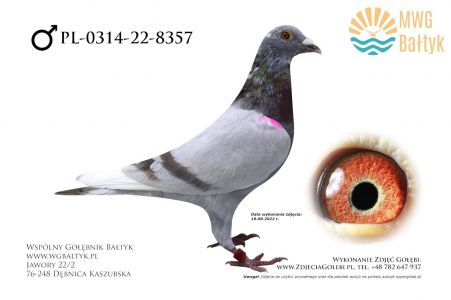 PL-0314-22-8357: Dybus Andrzej, m.in. 77m., 72m. z FINAŁU