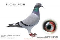 PL-0316-17-2328