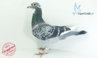 PL-0326-20-14215