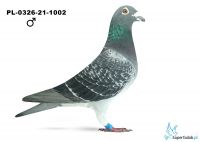 PL-0326-21-1002