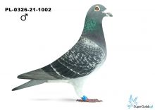 PL-0326-21-1002