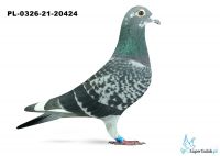 PL-0326-21-20424