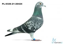 PL-0326-21-20424