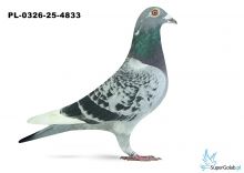 PL-0326-25-4833 19. OKRĘG TORUŃ