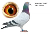 PL-0329-21-2341 Org. R. Pawłowski