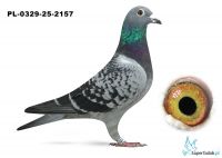 PL-0329-25-2157