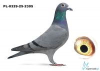 PL-0329-25-2305