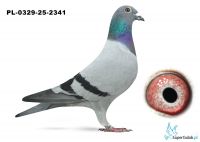 PL-0329-25-2341