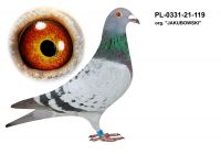 PL-0331-21-119 org. Marcin Jakubowski