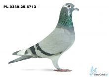 PL-0339-25-6713 9. OKRĘG WŁOCŁAWEK 