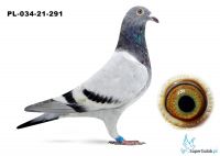 PL-034-21-291