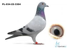 PL-034-22-3304 inbred DAKAR 