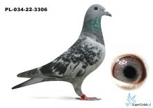 PL-034-22-3306 