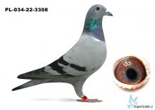 PL-034-22-3308 De Rawu Sablon