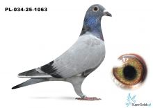 PL-034-25-1063 inbred PORSCHE 911