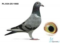 PL-034-25-1068 podwójny wnuk DAKARA