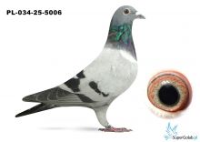 PL-034-25-5006 DE RAUW SABLON